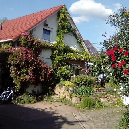 Moebliertes Zimmer, Pluederhausen Pluderhausen Eksteriør billede